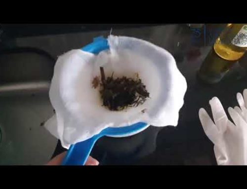 ELABORACIÓN DE SHAMPOO
