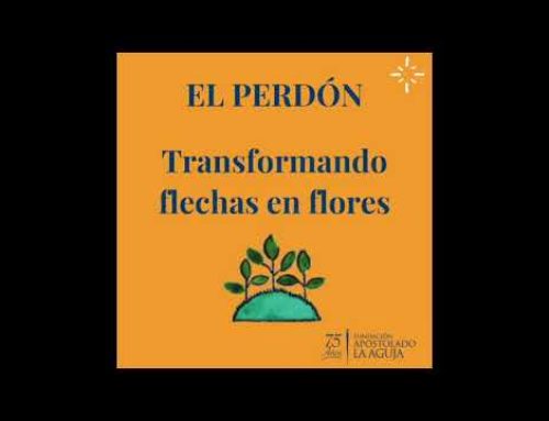 PERDÓN – TRANSFORMANDO FLECHAS EN FLORES